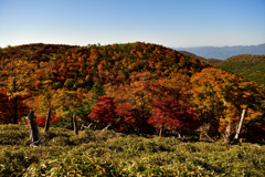 吉野熊野国立公園の秋景色②