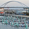 ヨットハーバーと橋(橋シリーズ④)