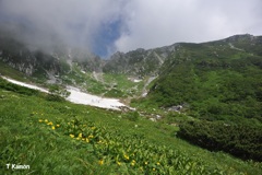 花と雪と雲