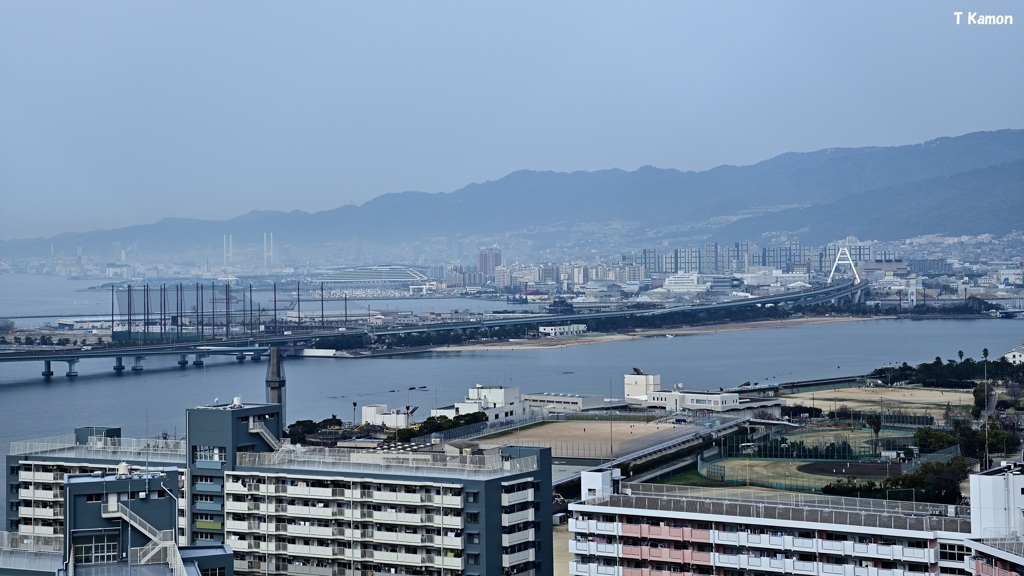 春霞の海