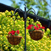 ハンギングバスケット