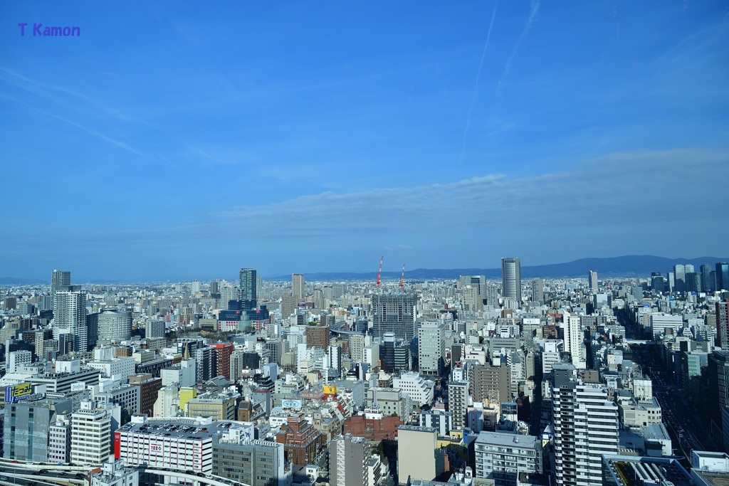 地上33階から見た大阪東部