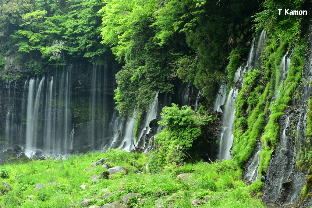 白糸の滝