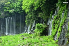 白糸の滝