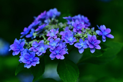 グラデーションⅱ