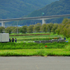 筒場