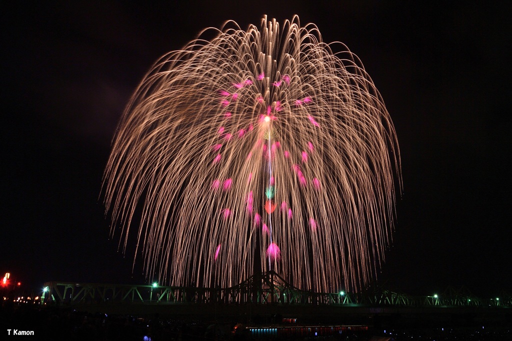 来年こそ開催できるように