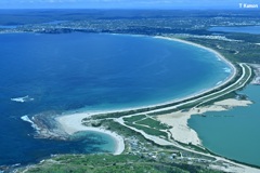 シドニーの海岸