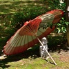 6月上旬の真夏日