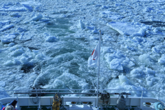 流氷のオホーツク海⑤