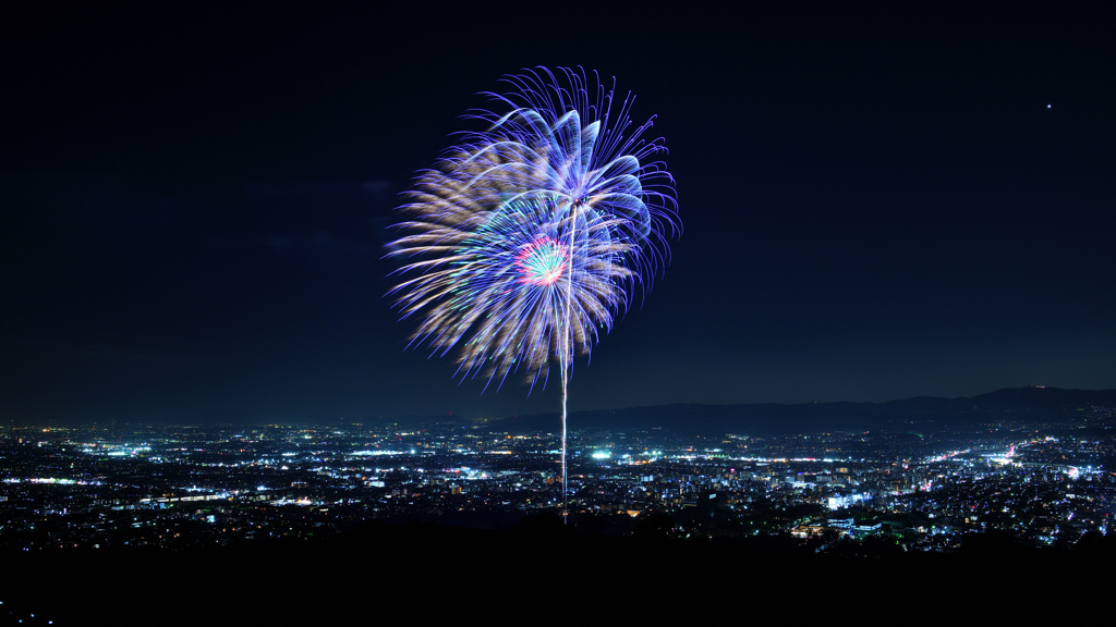 奈良公園バースデー花火③