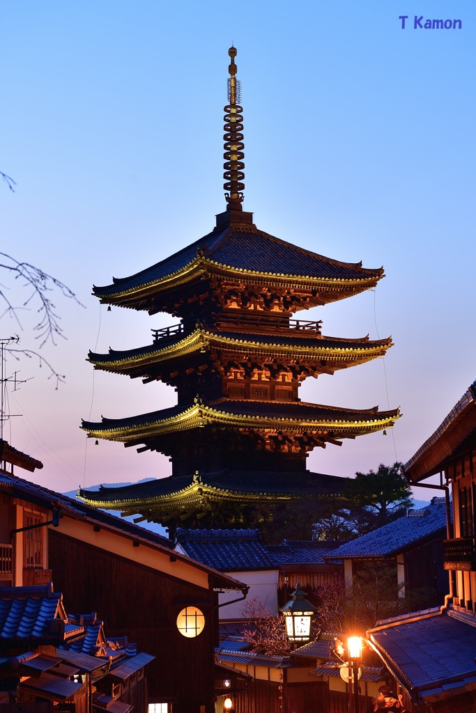 京都東山花灯路　⑥