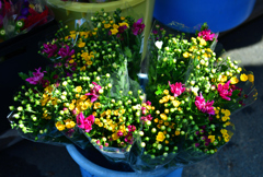 お盆のお花