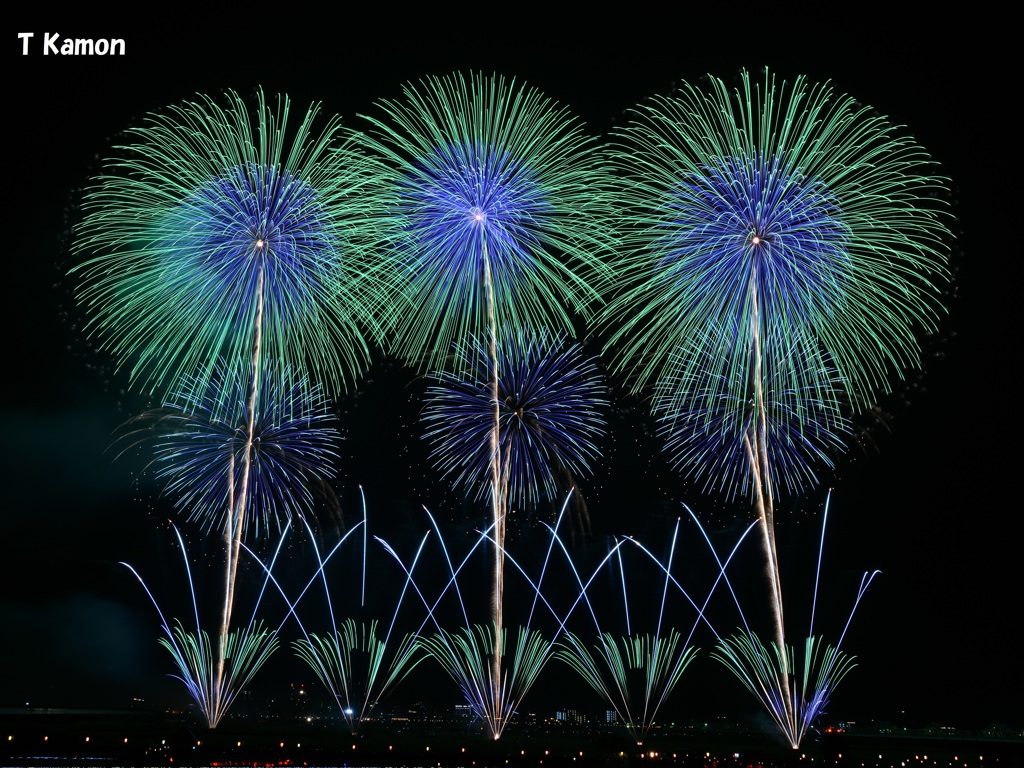 長岡花火⑤～緑一色