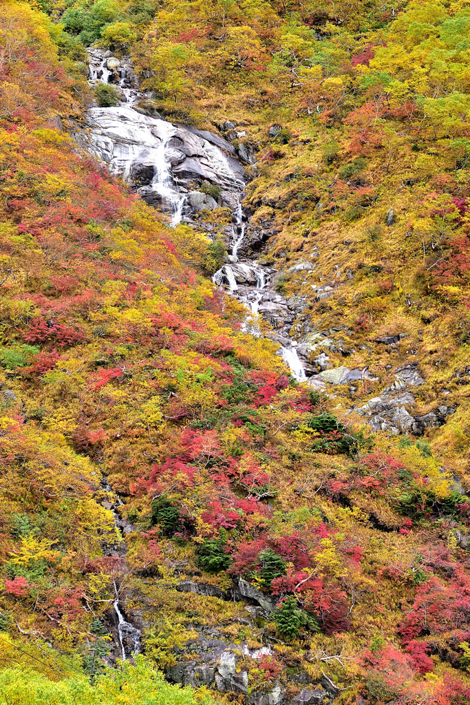 滝と紅葉