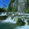 草を押しのけ流れる水