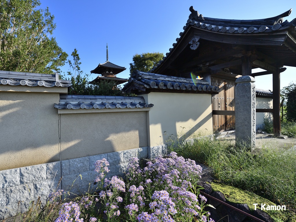 紫花と法起寺