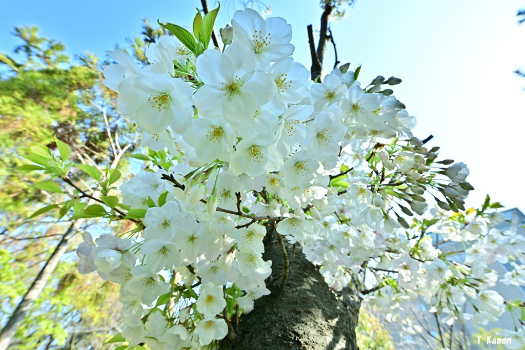 密集②ー4月4日
