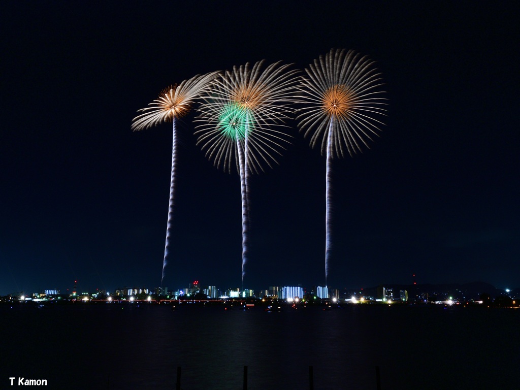 ヒマワリが4輪パッと咲いた～桑名水郷花火大会⑰