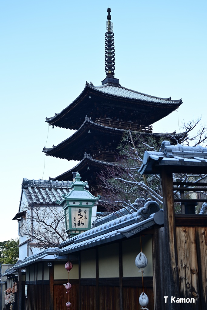 屋根に白いものが