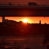 夕日は橋の下も真っ赤に染める