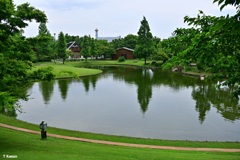 舞洲緑地公園の池