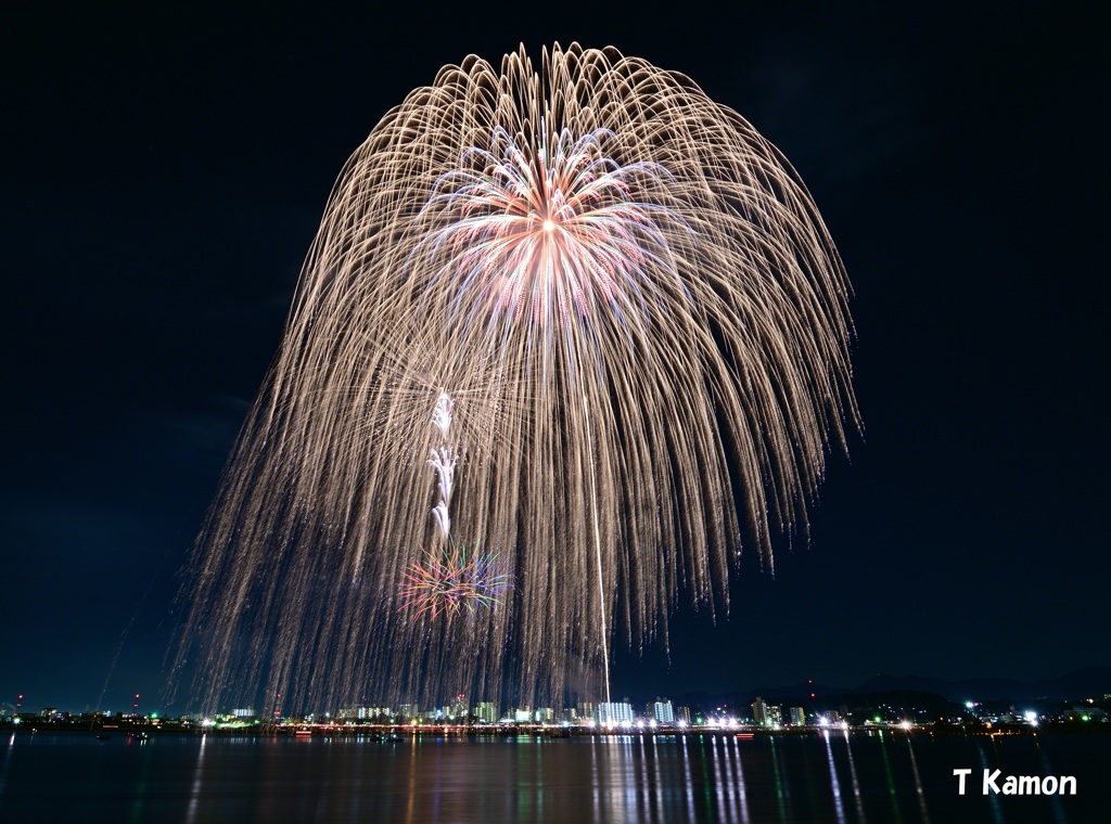 2尺玉～昇曲導付 彩花芯綿冠