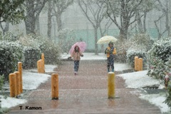 初めての雪①