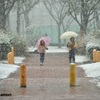 初めての雪①