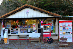 「何でもあるよ!!」