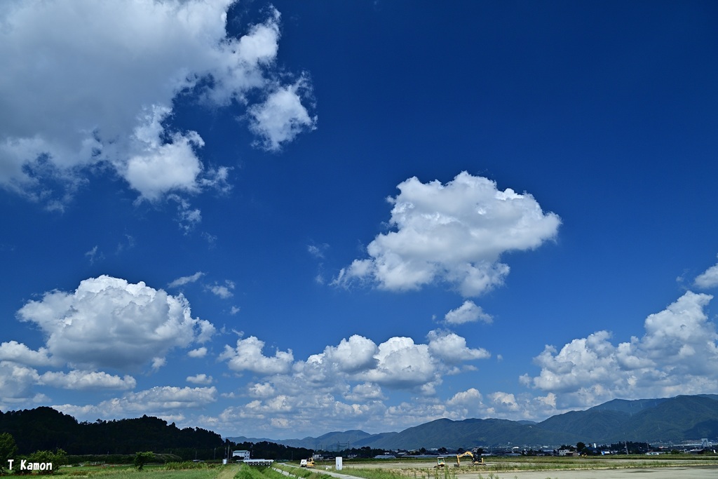 明日は雨？