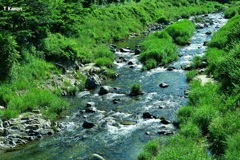 茶源郷を流れる川