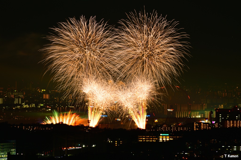 万博夜空がアートになる日④
