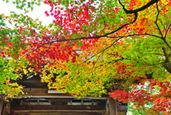 グラデーション