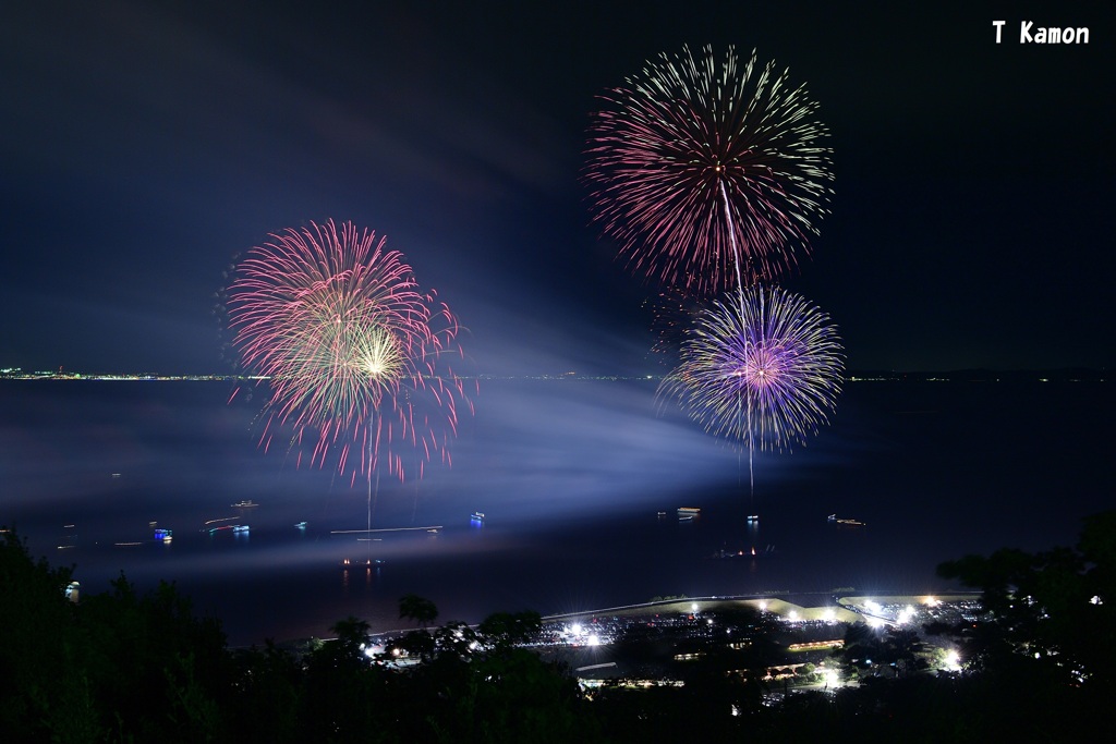 淡路市夏まつり花火⑥