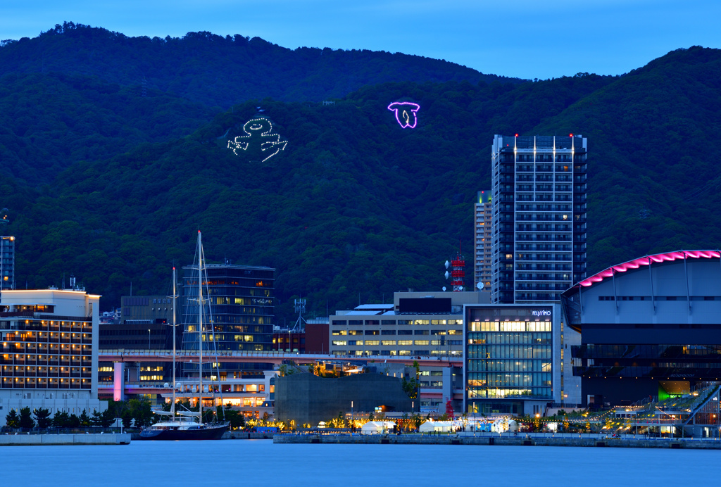 ここから撮りました