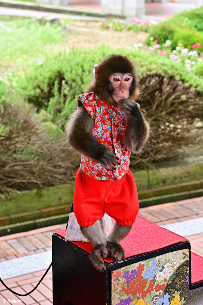 暑くても頑張っているョ