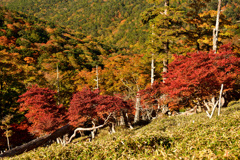 吉野熊野国立公園の秋景色①