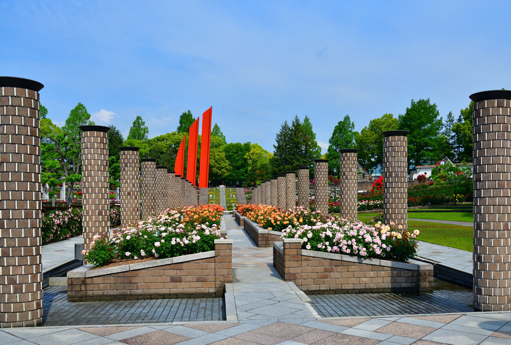 荒牧バラ公園➊