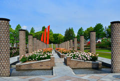 荒牧バラ公園➊