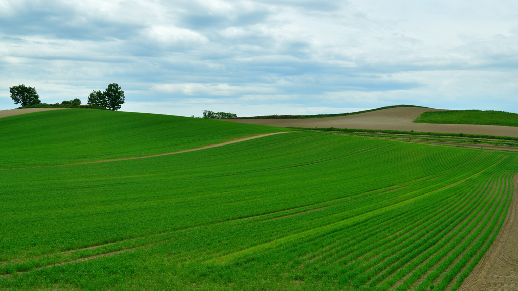 緑の丘