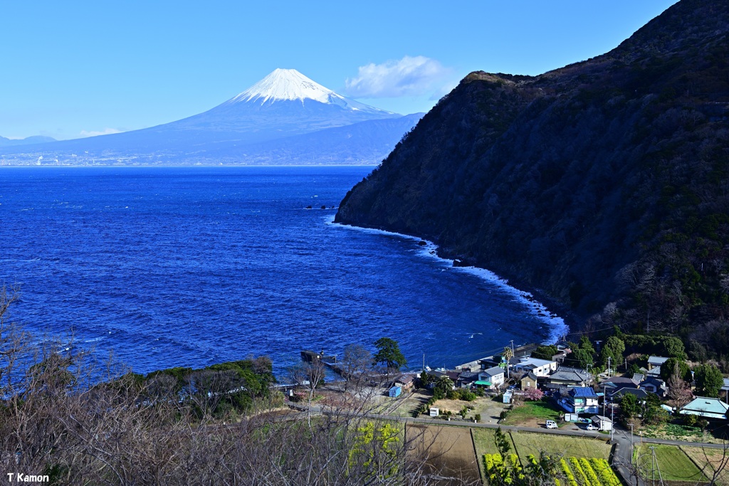 富士山の見える村