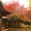 霧と養父神社