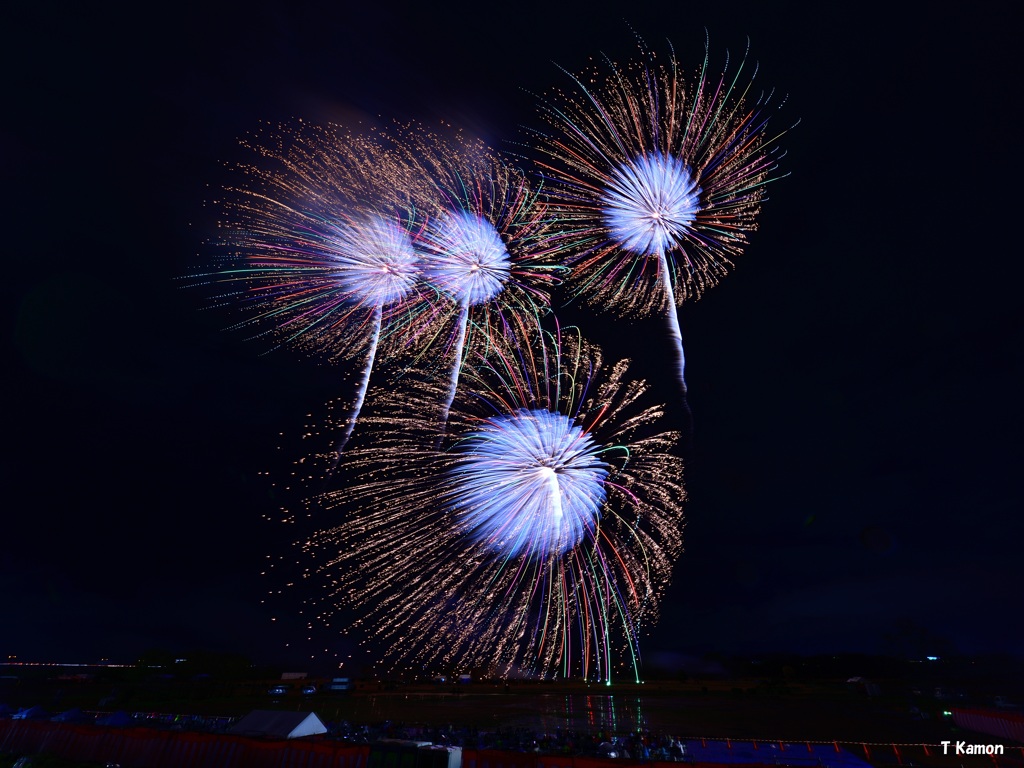 第116回長野えびす講煙火大会⑨