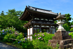 丹波あじさい寺