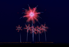 Japan Fireworks Expo《大曲の花火》③