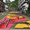 INFIORATA  KOBE in KITANOZAKA