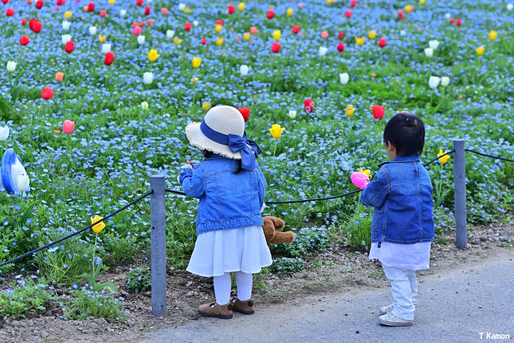 遊んでないで花を見ましょう