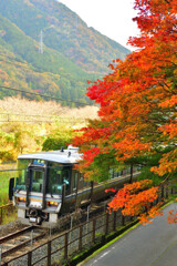 紅葉から飛び出した