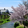 春の景色
